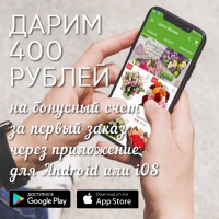 Мобильное приложение "Малина" уже в AppStore и PlayМаркет!