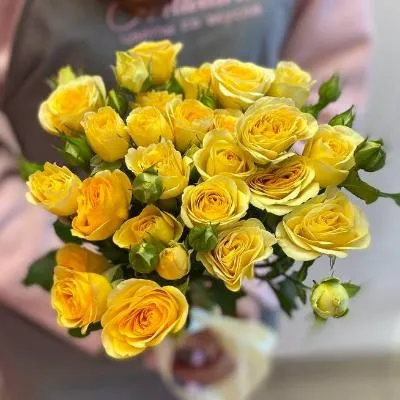 Роза кустовая желтая