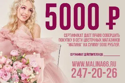 Подарочный сертификат на услуги компании "Малина"      