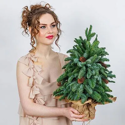 Ель "Ничего лишнего"