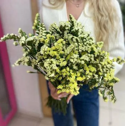 Статица желтая