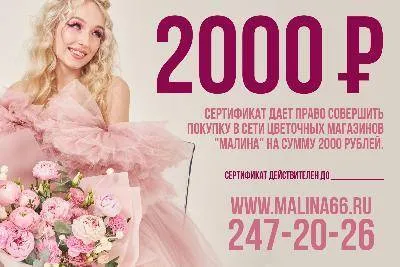 Подарочный сертификат на услуги компании "Малина"  