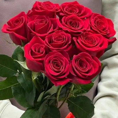 Красная роза Эквадор 40-50 см