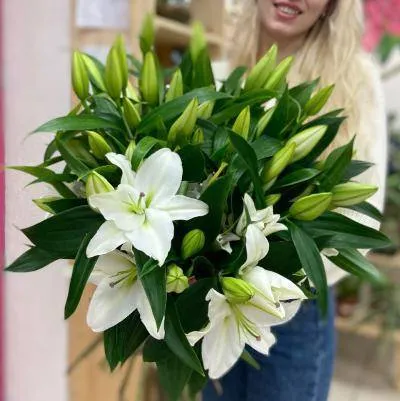 Лилия белая