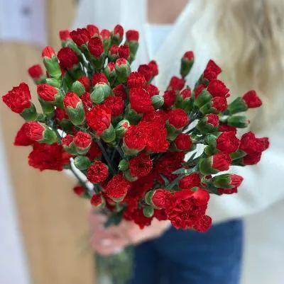 Гвоздика кустовая красная