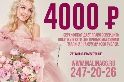 Подарочный сертификат на услуги компании "Малина"     