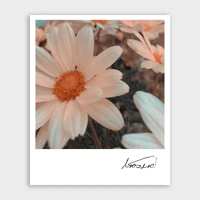 Фотокарточка №5