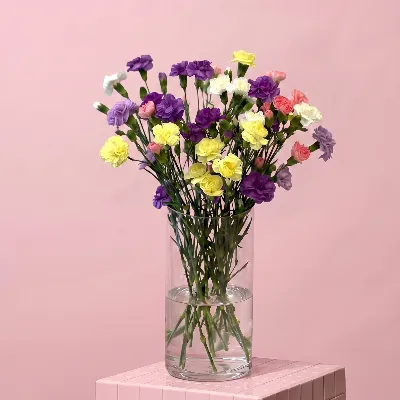 Кустовая гвоздика микс 19 шт
