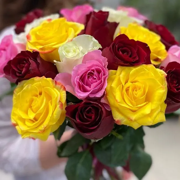 Роза цветная микс (Эквадор) 40-50 см