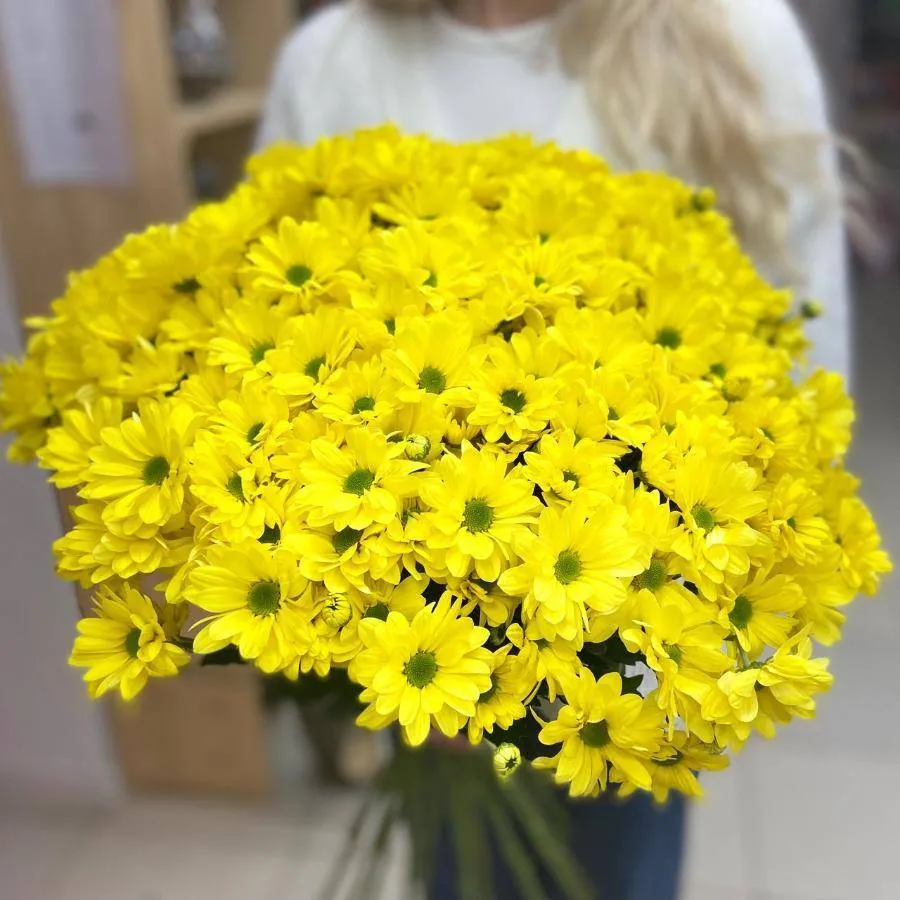 Хризантема кустовая желтая